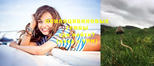 амфетамин Алексин