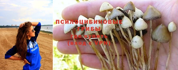 тгк Алексеевка